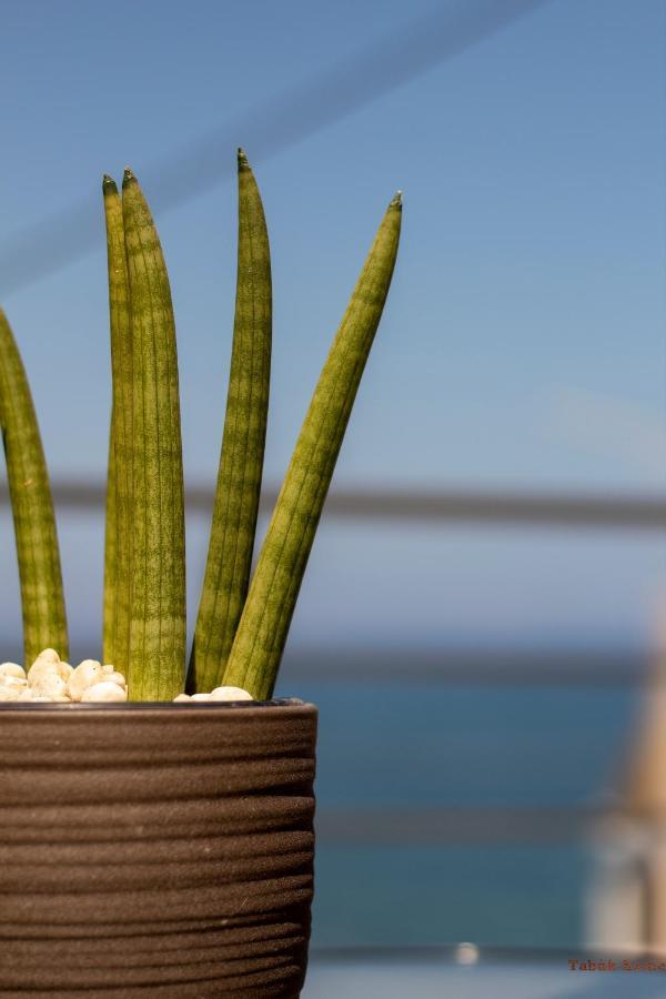 חאניה Tabak Home Sea Side Apartment מראה חיצוני תמונה